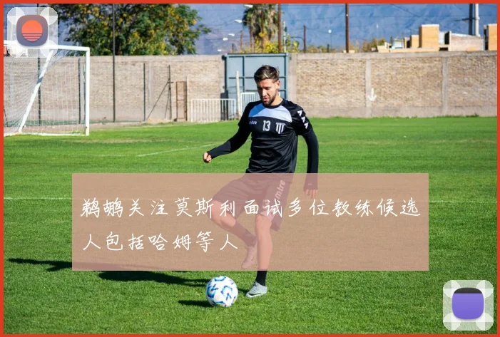 鹈鹕关注莫斯利面试多位教练候选人包括哈姆等人